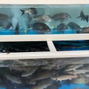 장항동횟집민박 이미지