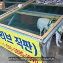 정희네건어물 이미지