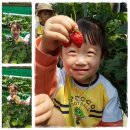 세민농장 이미지