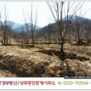 상주부동산
