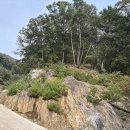 공주산속펜션 이미지