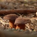 대박농산 이미지