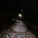 달빛걷기 속으로, 꽃향기따라 어둠에 잠긴 안산자락길 걷기 (3. 30 진행자 후기) 이미지