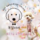 복실이네 애견미용실 이미지