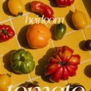 그래도 | 못생긴 토마토를 샀다 | 그래도팜 에어룸 토마토 후기 (보관법, 먹는법, 요리)