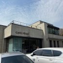 제천 의림지 인근 커피 맛집 대형카페 카페피노 내돈내산 후기