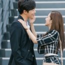 크롭체크코리아 이미지