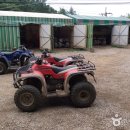 엑스라이프 Daum카페