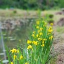 숲속 황토방 펜션 이미지