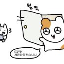 혜진우리옷 이미지