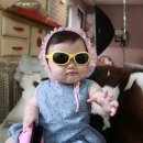 제이지안 이미지