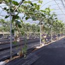 성장농원 이미지