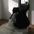 [w.50] 결혼준비 총비용 : 스드메/웨딩홀/부케/헬퍼비/상견례/신혼여행/청첩장 : 가성비 결혼 성공적💍