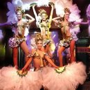 아이러브호주 이미지