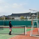 경상북도청 테니스장 이미지