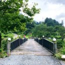 무릉도원면-5 이미지