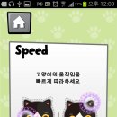베리코코 이미지