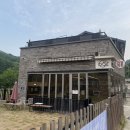 012-1 | 남양주 애견카페 남양주 애견운동장 🐶🌱 영원이 012 두번째 방문 후기