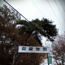 청강농원 | 68. 고양 감골농원 오토캠핑 [ 2010.11.06 ~ 11.07 ]