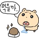 보문제과
