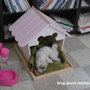 키키하우스 이미지