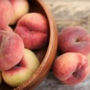 한옥농장 이미지