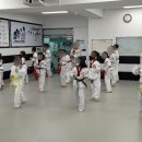 태광태권도체육관 이미지