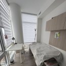 (구함) Wellseley&amp;College/여자만/$1000/1베드룸/서블렛/룸렌트 이미지