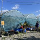 세정어린이집 이미지