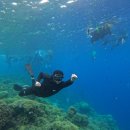 한바다약국 이미지