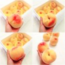❤️[백도복숭아추천] 여미야미 달콤한 백도복숭아. 온가족 아기 고당도제철과일간식❤️
