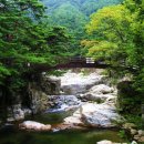 삼정여관 이미지