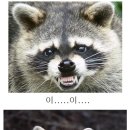 휴먼pc방 이미지