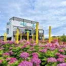 북촌 해동 이미지