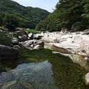 도락산장 이미지