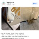 온스바디 이미지