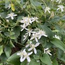 가을목장 이미지