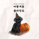 장위16 | 성북구 장위지웰에스테이트 아파트 커튼 시공후기✨