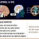 팜네이트(주) | 도파민 디톡스: 뇌를 리셋하는 21세기 디지털 해독법