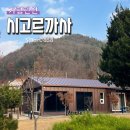 시고르까사 이미지