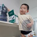 신세계어린이집 | 기록]21개월아기일상/어린이집입소3주차/코코고기소분...오차드힐베이커리/신세계센텀/집밥 유아식 일상