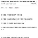 철새 도래지에 무리하게 공항을 지었다 이미지