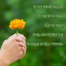 금잔듸