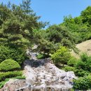 숲쟁이로 이미지