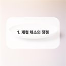 영광터미널한의원 이미지