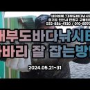 대부도바다낚시터 2024년 10월 5일 토요일 우럭 자바리 홍돔 참돔 돌돔 점성어등 조황 이미지