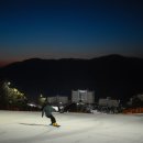 신아인터네셔날 신아일보