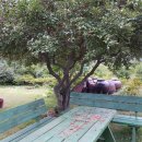 조양목장 이미지