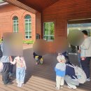 따, 숲 | 월아산 숲속의진주 유아숲체험 후기