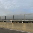 월령솔가 이미지